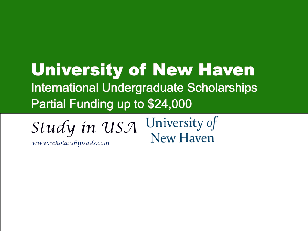 University of New Haven International Undergraduate Scholarships 2024 in USA.