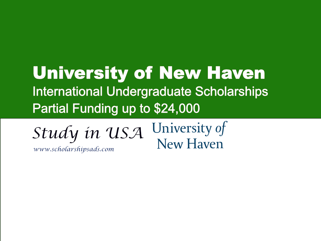 University of New Haven International Undergraduate Scholarships.