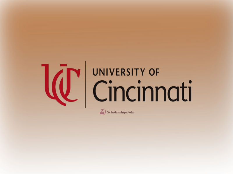 International Bearcats Everywhere Scholarships- University of Cincinnati USA