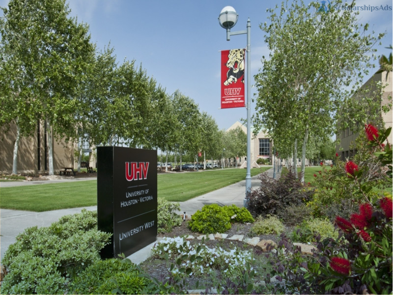 University of Houston Victoria International Programs Office Scholarships, USA 2022-23