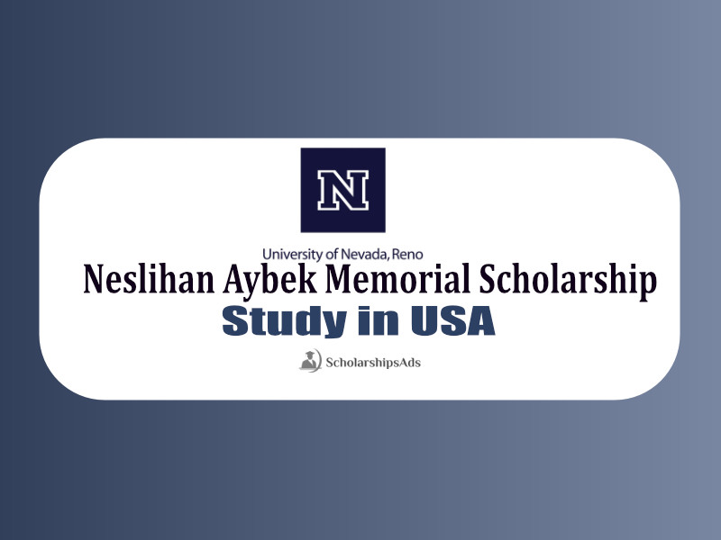 Neslihan Aybek Memorial Scholarships.