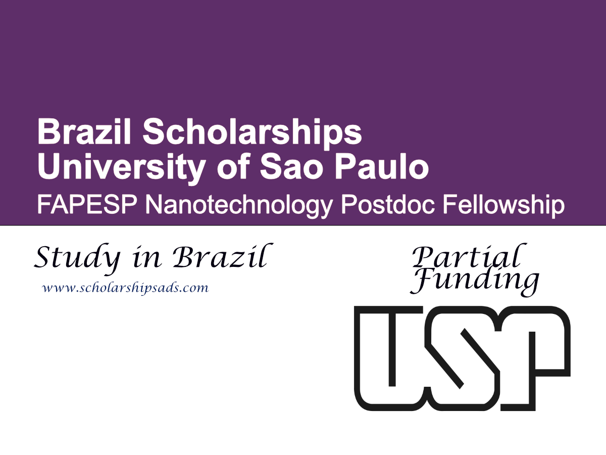 FAPESP Nanotechnology Postdoc Fellowship 2027, Brazil