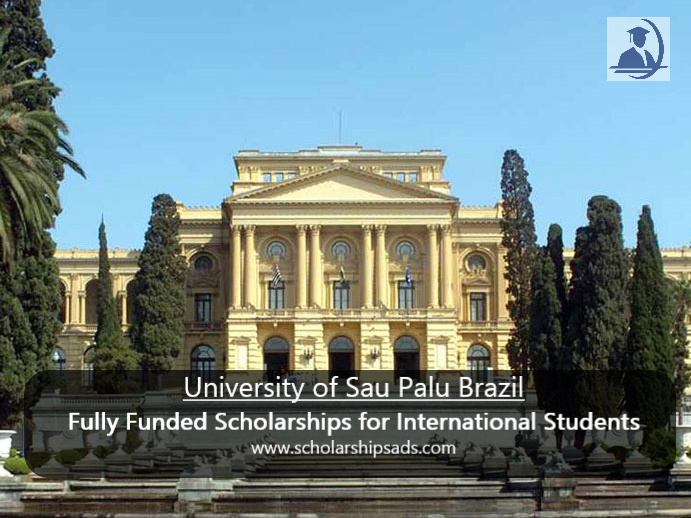  Federal University of Sao Paulo in Brazil Young Talented postdoc award, 2020 