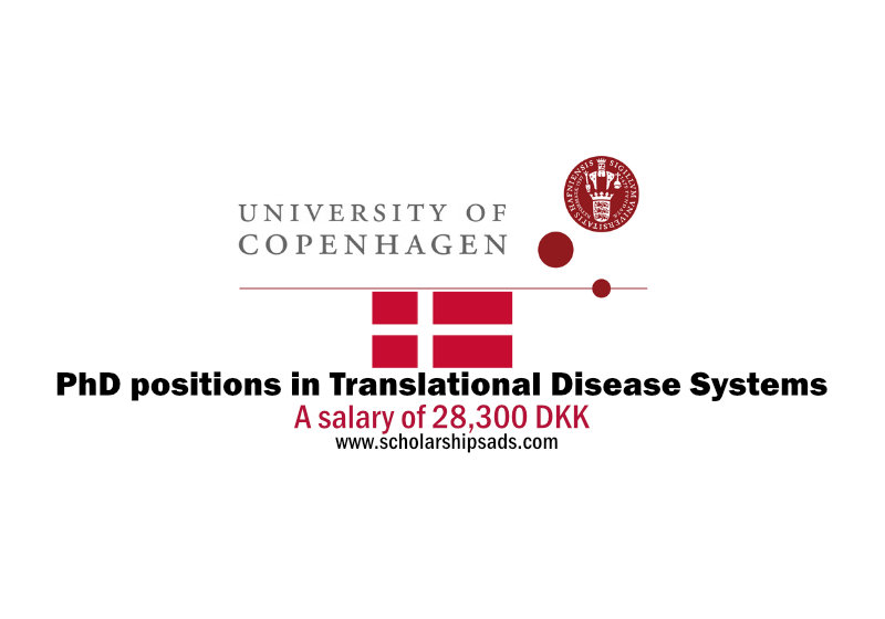 Copenhagen University Denmark PhD positions in Translational Disease Systems Biology 2023