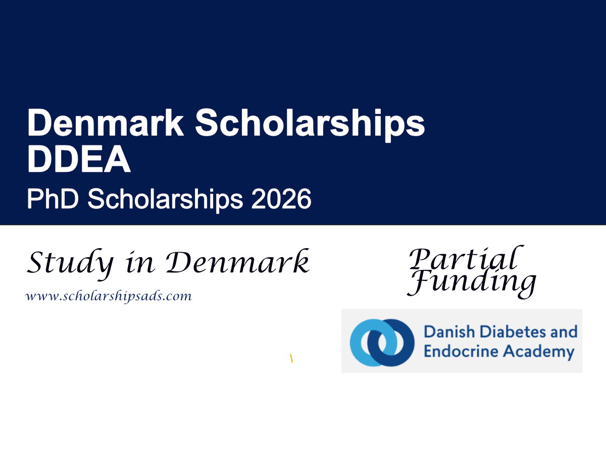 Denmark DDEA PhD Scholarships 2026 (DKK 1.1 Million Funding for International Students)