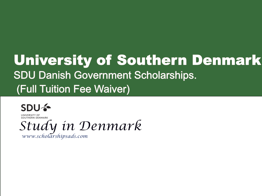 SDU Danish Government Scholarships.