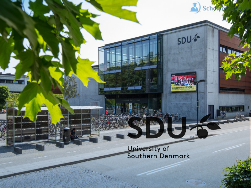  University of Southern Denmark Pre-graduate Scholarships. 