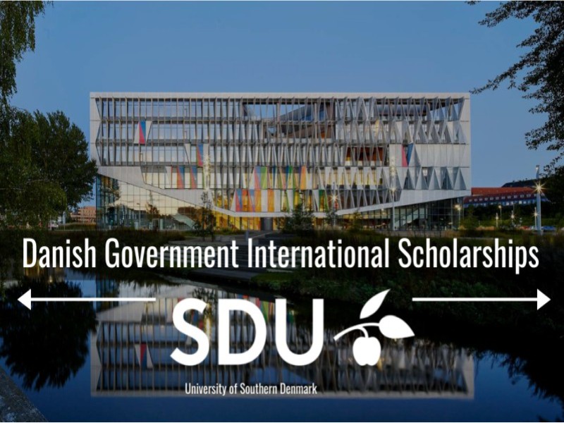  Danish Government Scholarships. 