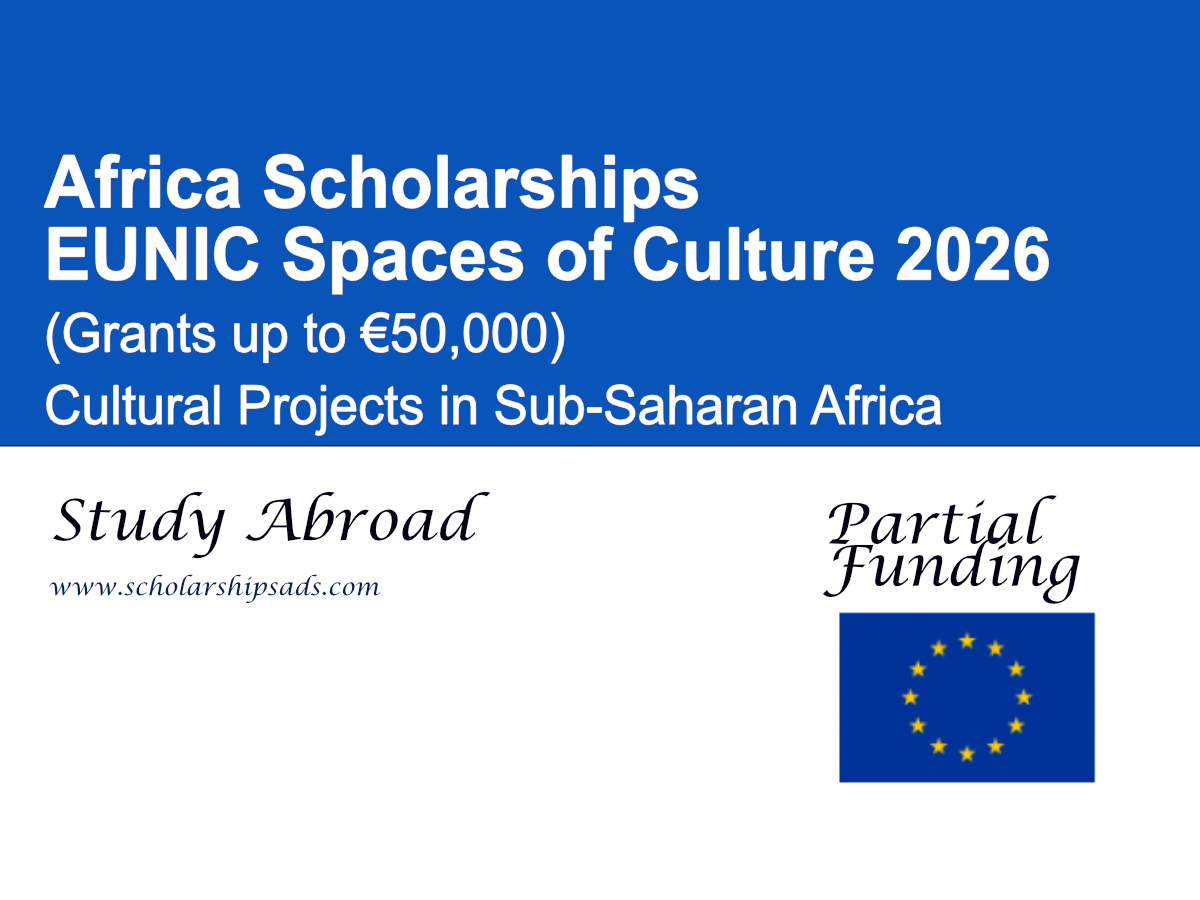 EUNIC Spaces of Culture 2026 (Grants up to €50,000) | Cultural Projects in Sub-Saharan Africa