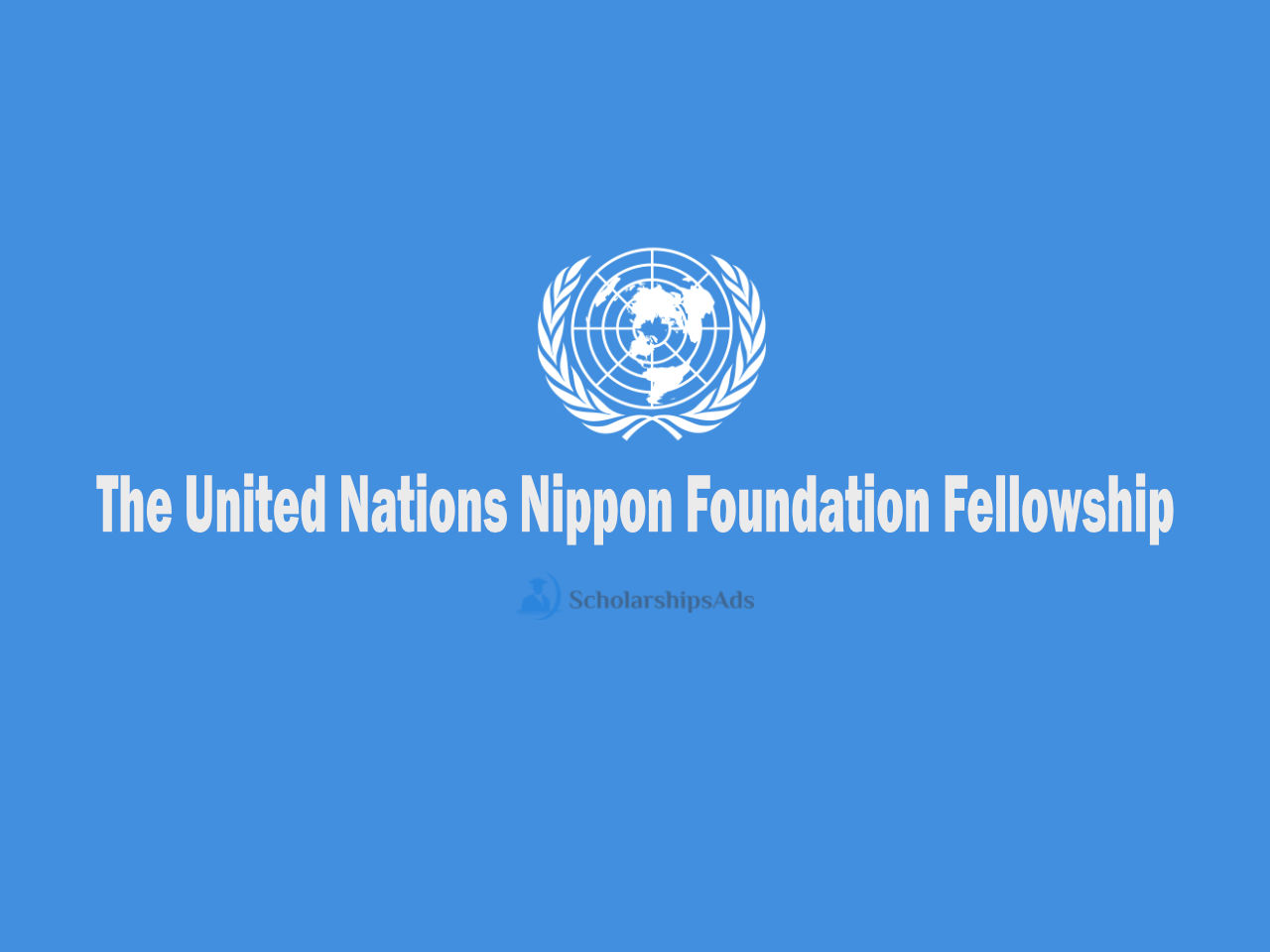The United Nations Nippon Foundation Fellowship