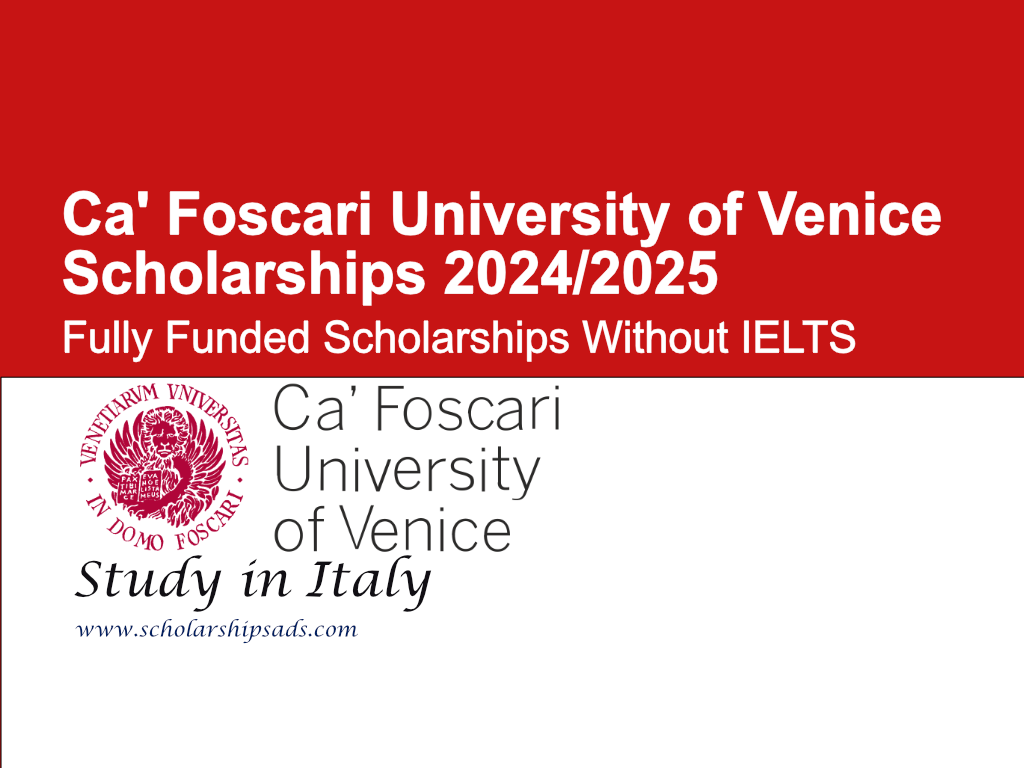 Ca&#039; Foscari University of Venice Scholarships.
