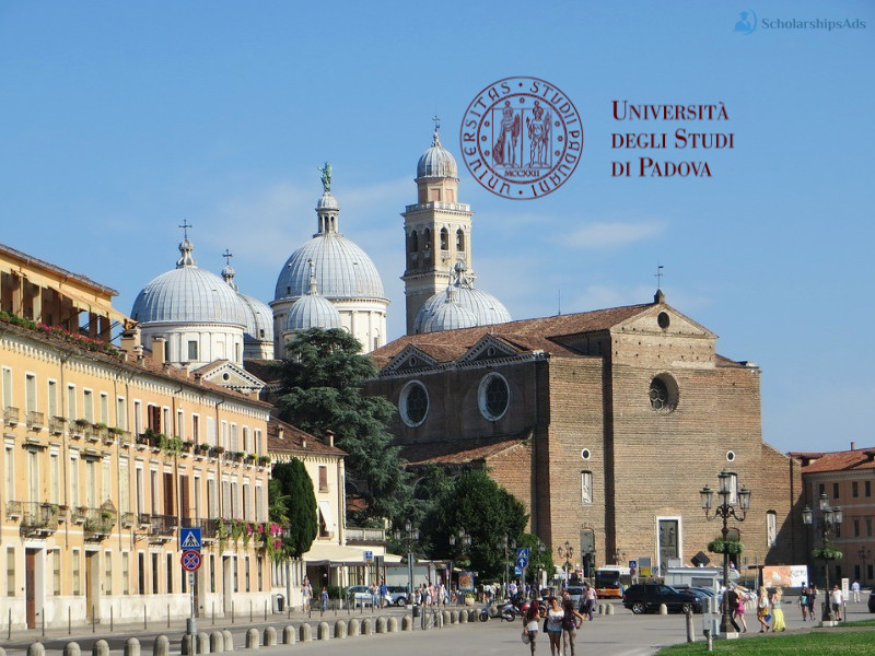 University of Padua Department of Developmental Psychology and Socialisation Scholarships.