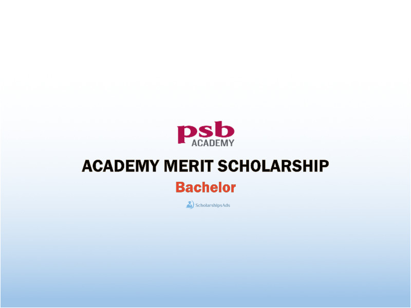  Academic Merit Scholarships. 