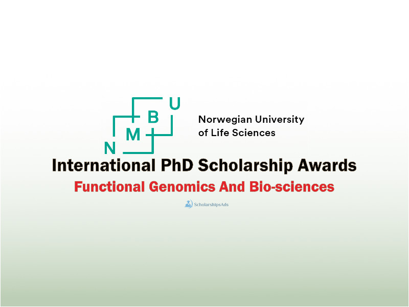  International PhD Scholarships. 