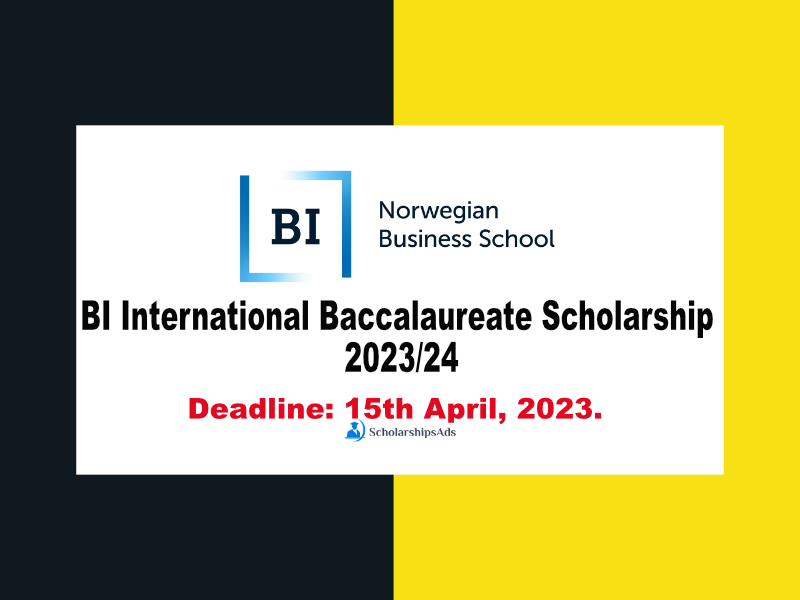  BI International Baccalaureate Scholarships. 