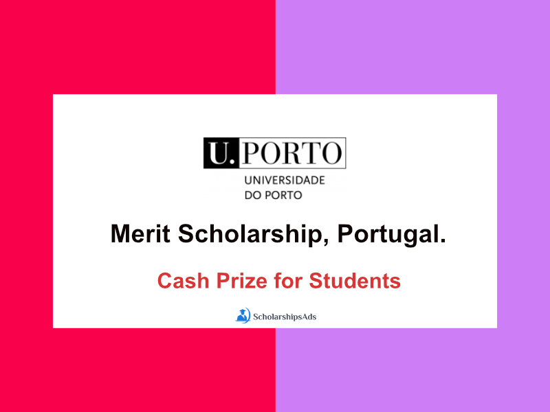  University of Porto Merit Scholarships. 