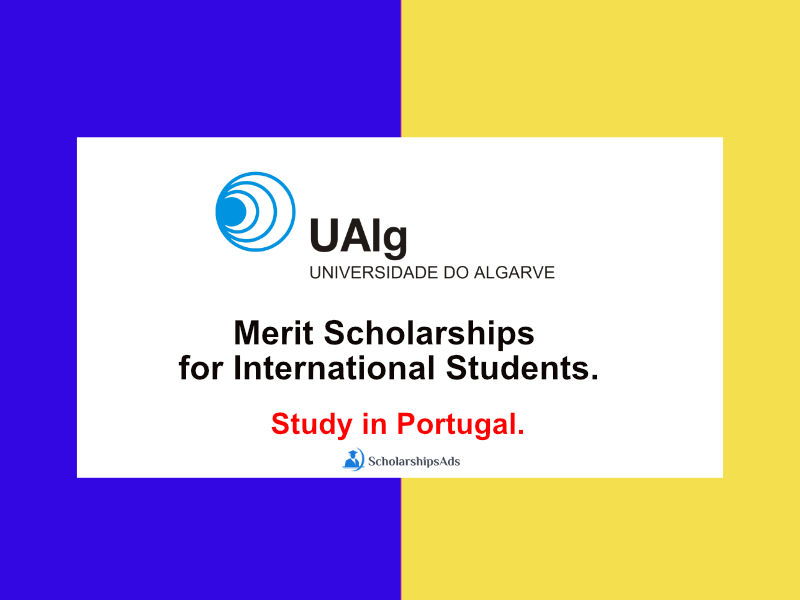  University of Algarve Merit Scholarships. 