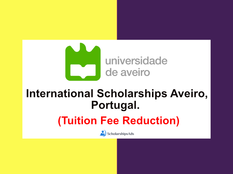 phd scholarship in portugal 2023