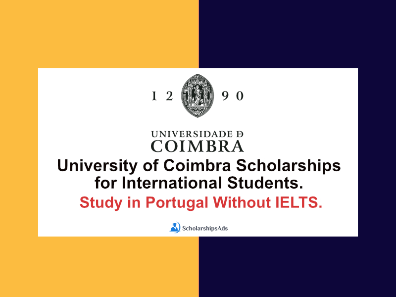  University of Coimbra Scholarships. 