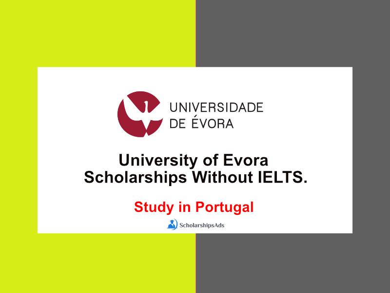  University of Evora Scholarships. 