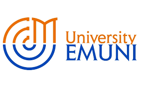 Intercultural Business Communication International Scholarship at EMUNI University