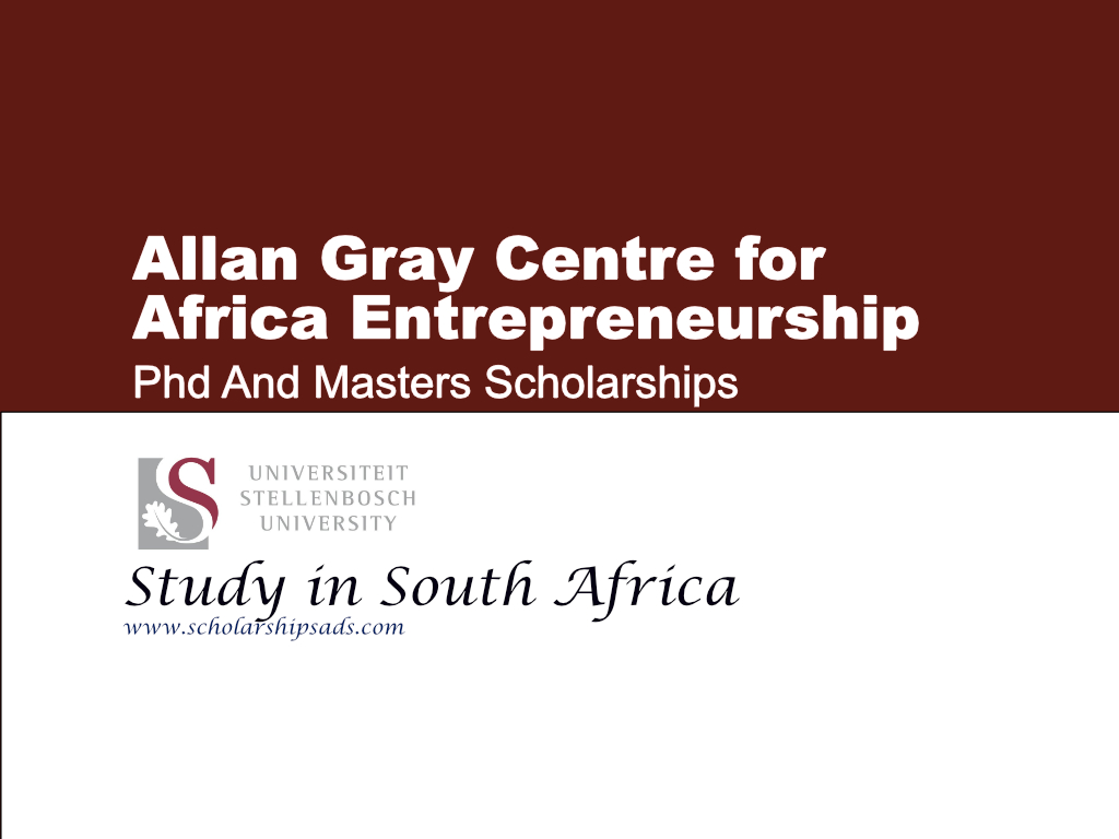  Allan Gray Centre for Africa Entrepreneurship - Phd And Masters Scholarships. 