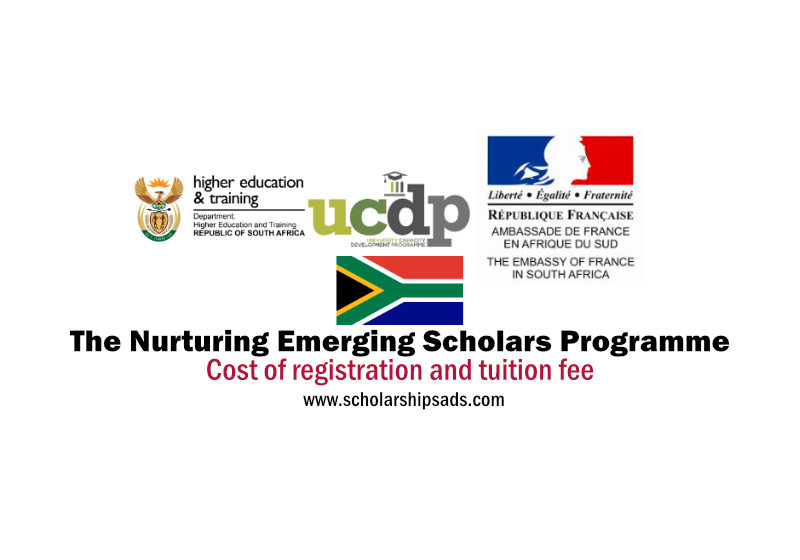 Government of South Africa FRANCE: The Nurturing Emerging Scholars Programme (NESP) 2022