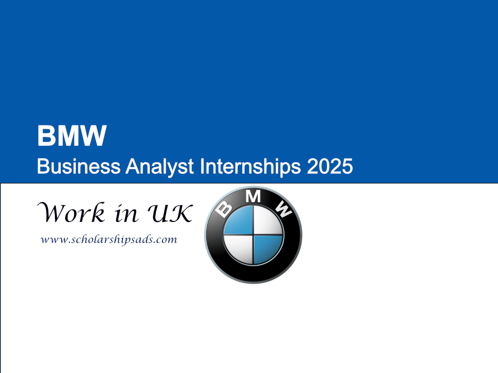 BMW UK Business Analyst Internships 2025