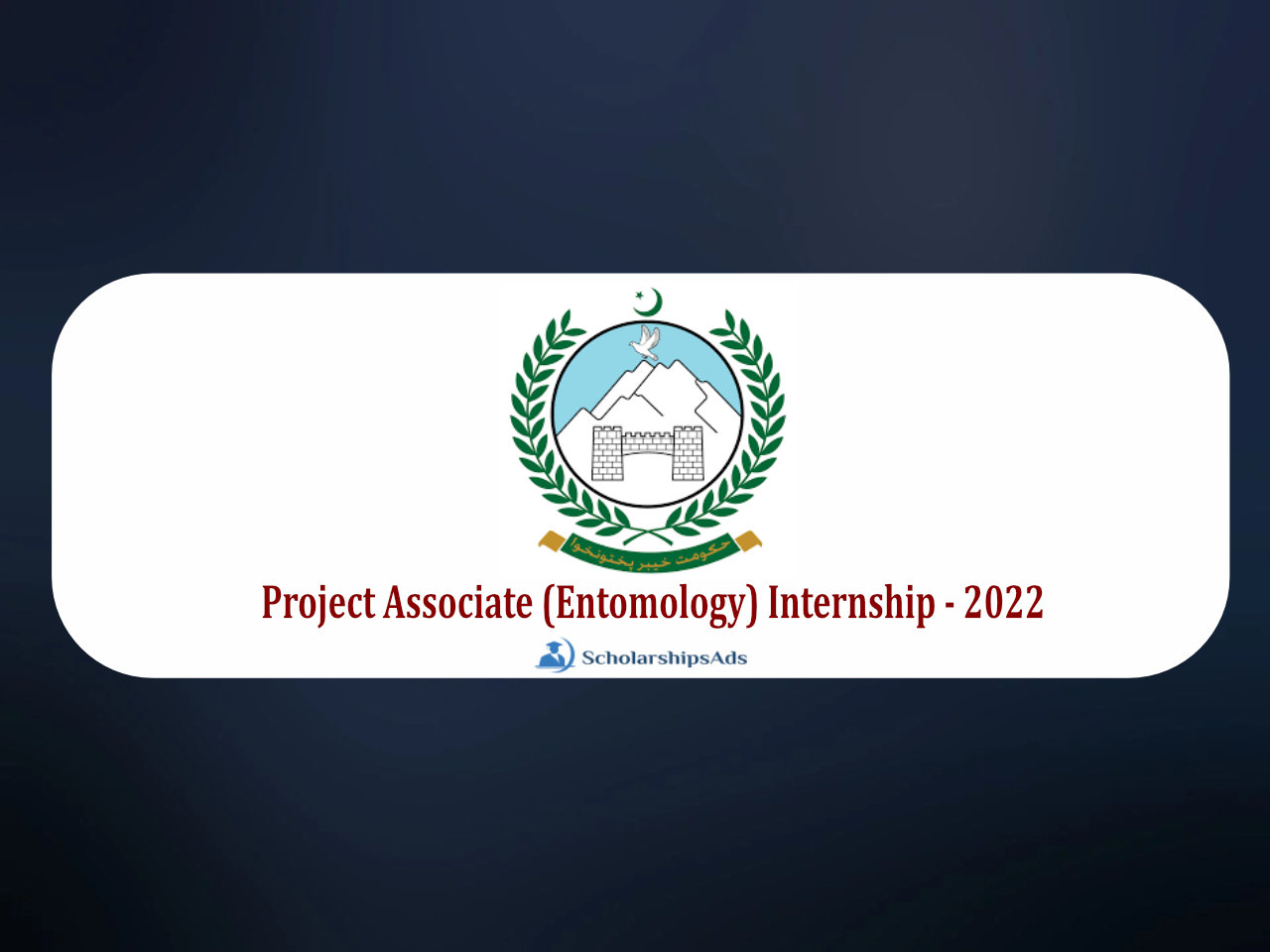 Project Associate (Entomology) Internship - 2022