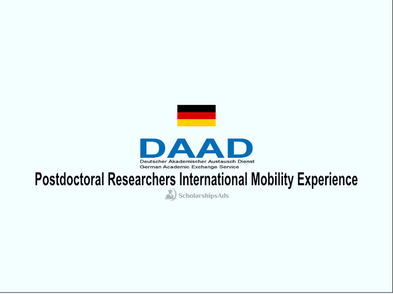 Postdoctoral Researchers International Mobility Experience