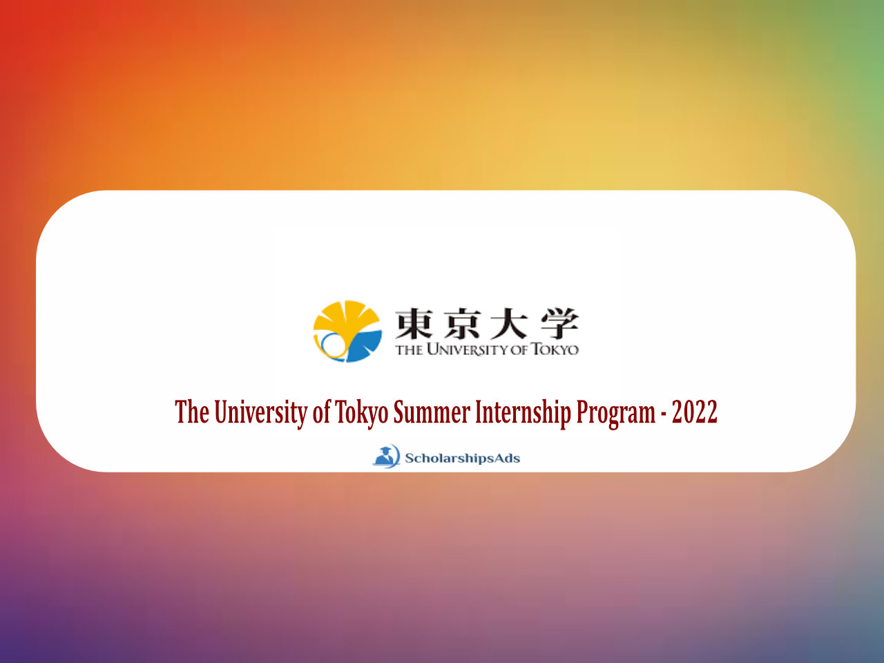 The University of Tokyo Summer Internship Program - 2022