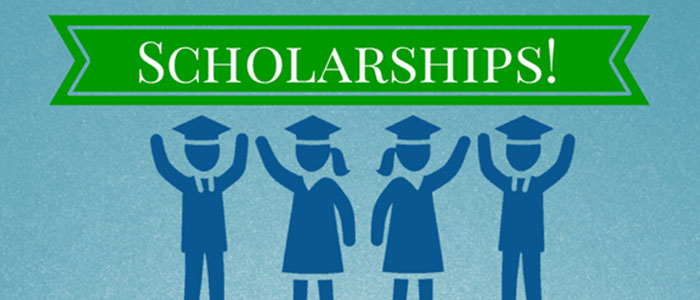 Government Scholarships for Czech Language Summer Courses