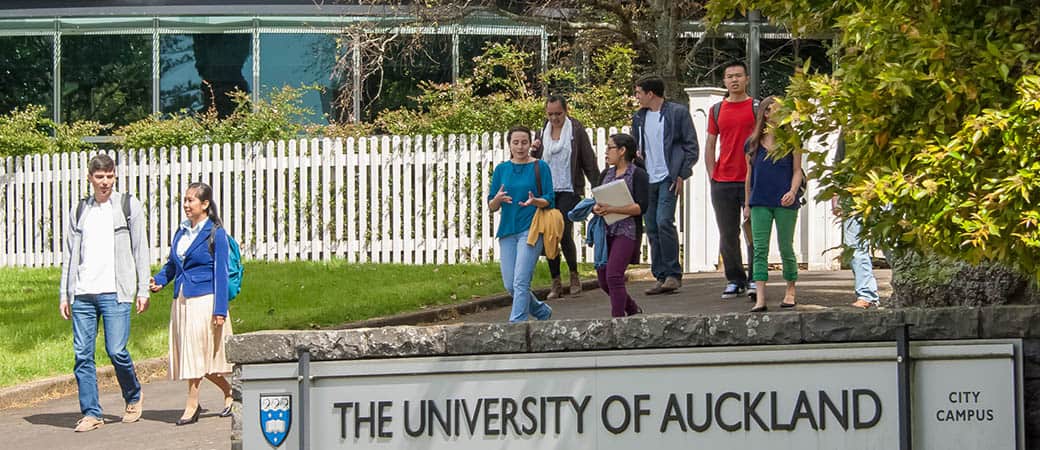 Summer Research Scholarships in New Zealand, 2017