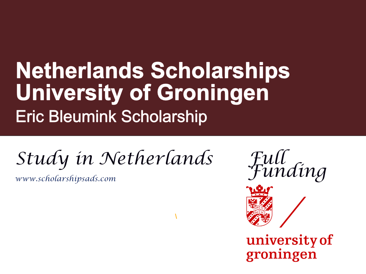 Eric Bleumink Scholarship 2027 in Netherlands (Fully Funded)