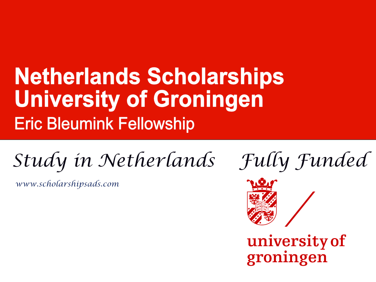University of Groningen Eric Bleumink Fellowship 2026 , Netherlands (Fully Funded)