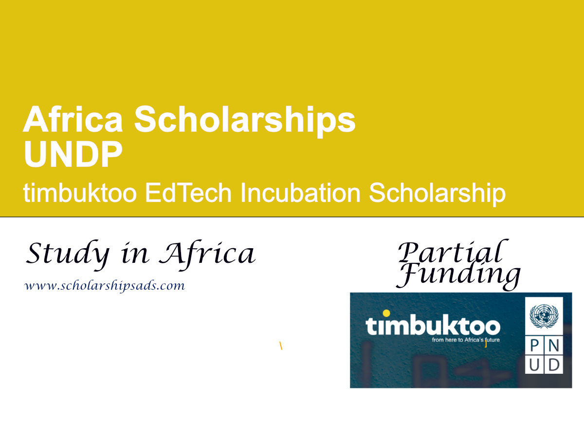 UNDP timbuktoo EdTech Incubation Scholarship 2027 for African Startups