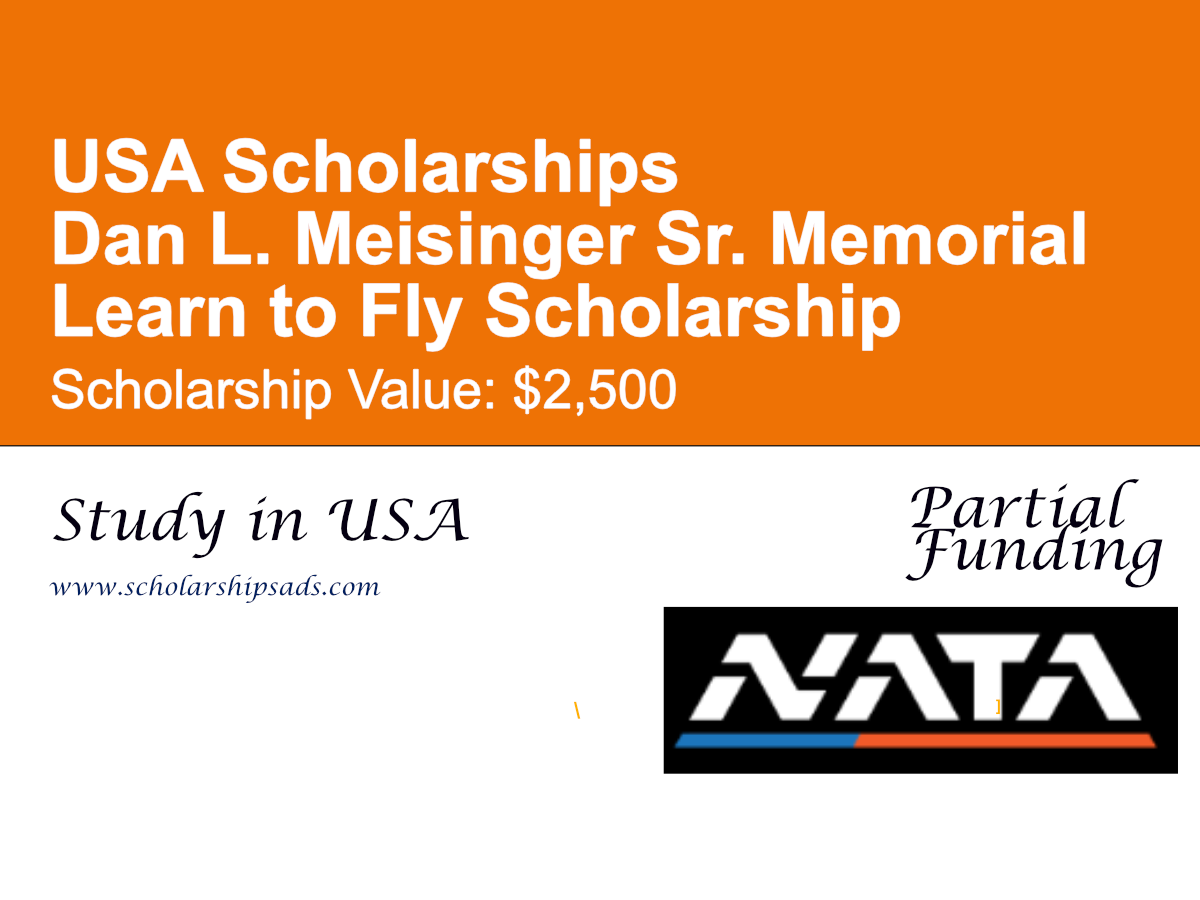Dan L. Meisinger Sr. Memorial Learn to Fly Scholarship in USA
