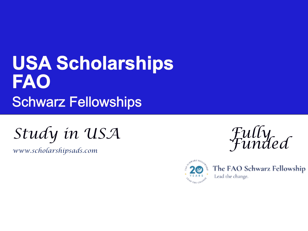 FAO Schwarz Fellowships 2026 in USA