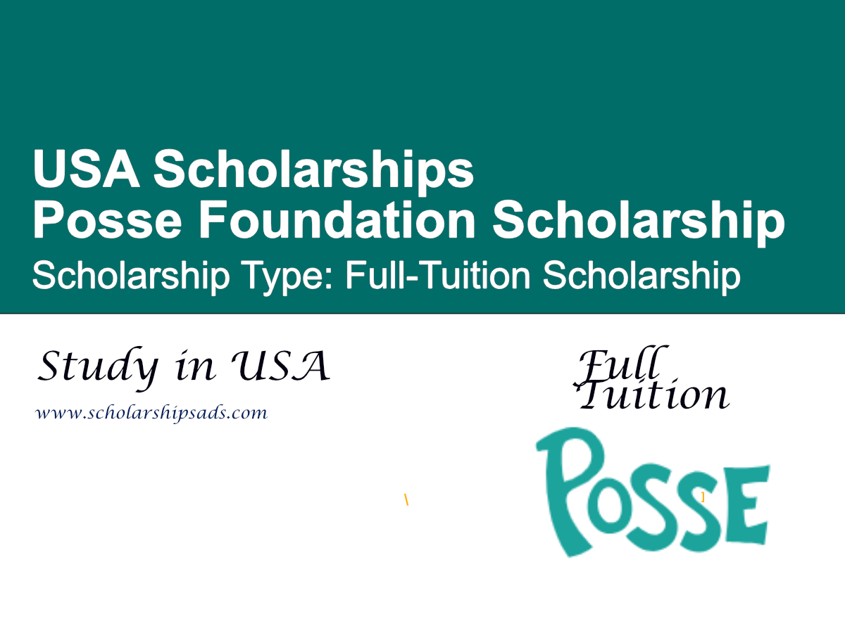 Posse Foundation Scholarship in the USA