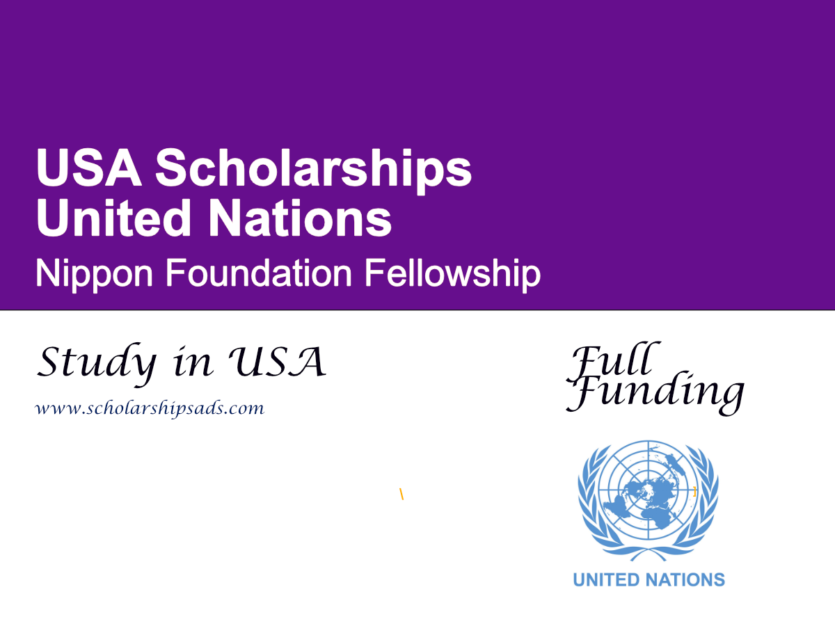 United Nations Nippon Foundation Fellowship 2027 in USA