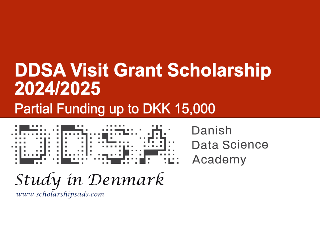 DDSA Visit Grant Scholarship 2024/2025 in Denmark