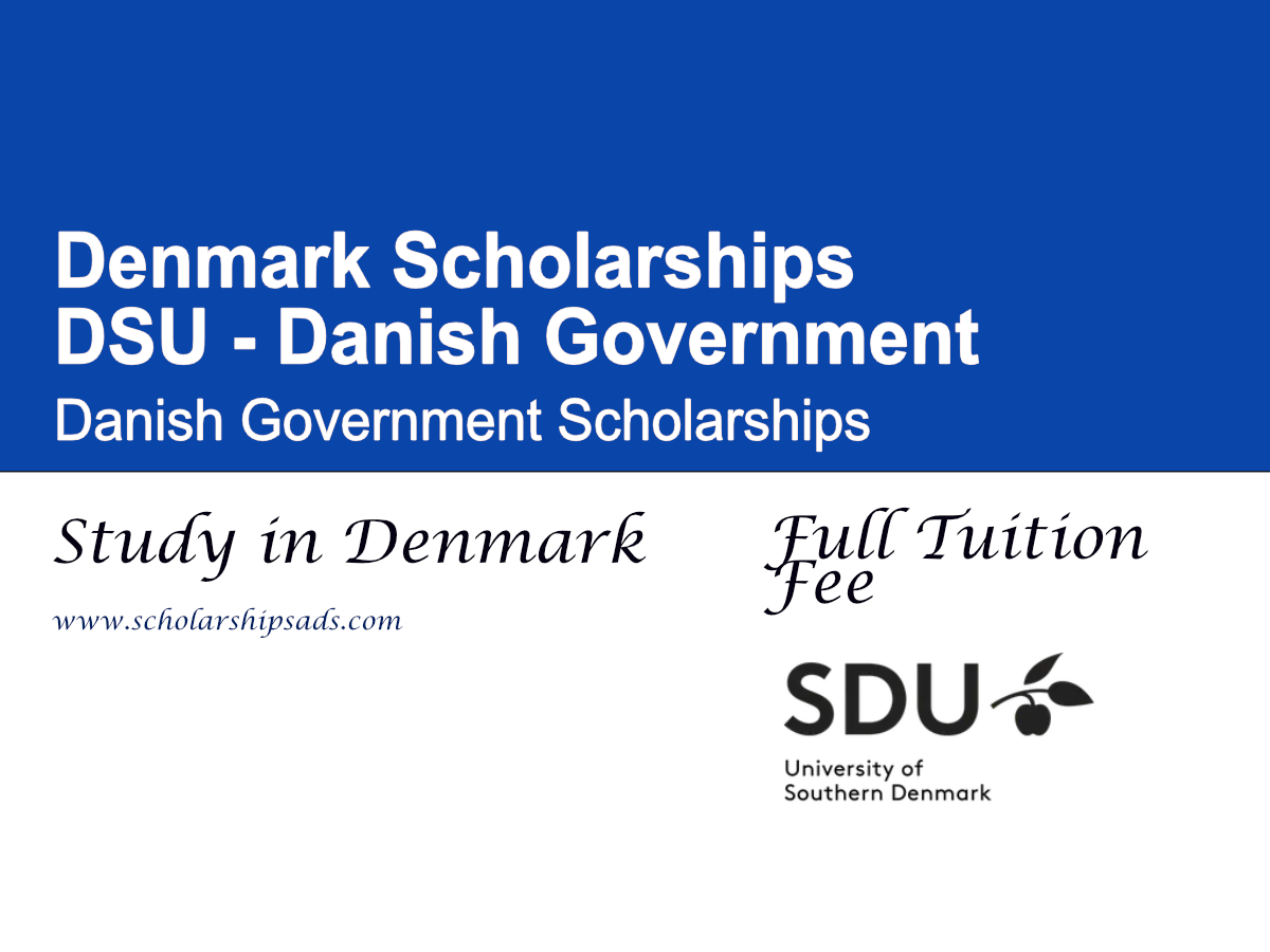SDU Danish Government Scholarships 2026 , Denmark (Full Tuition Waivers)