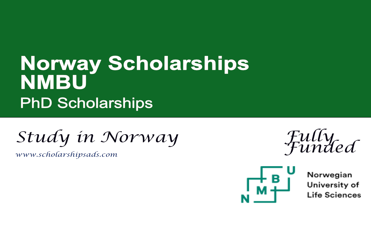 NMBU PhD Scholarships 2026, Norway