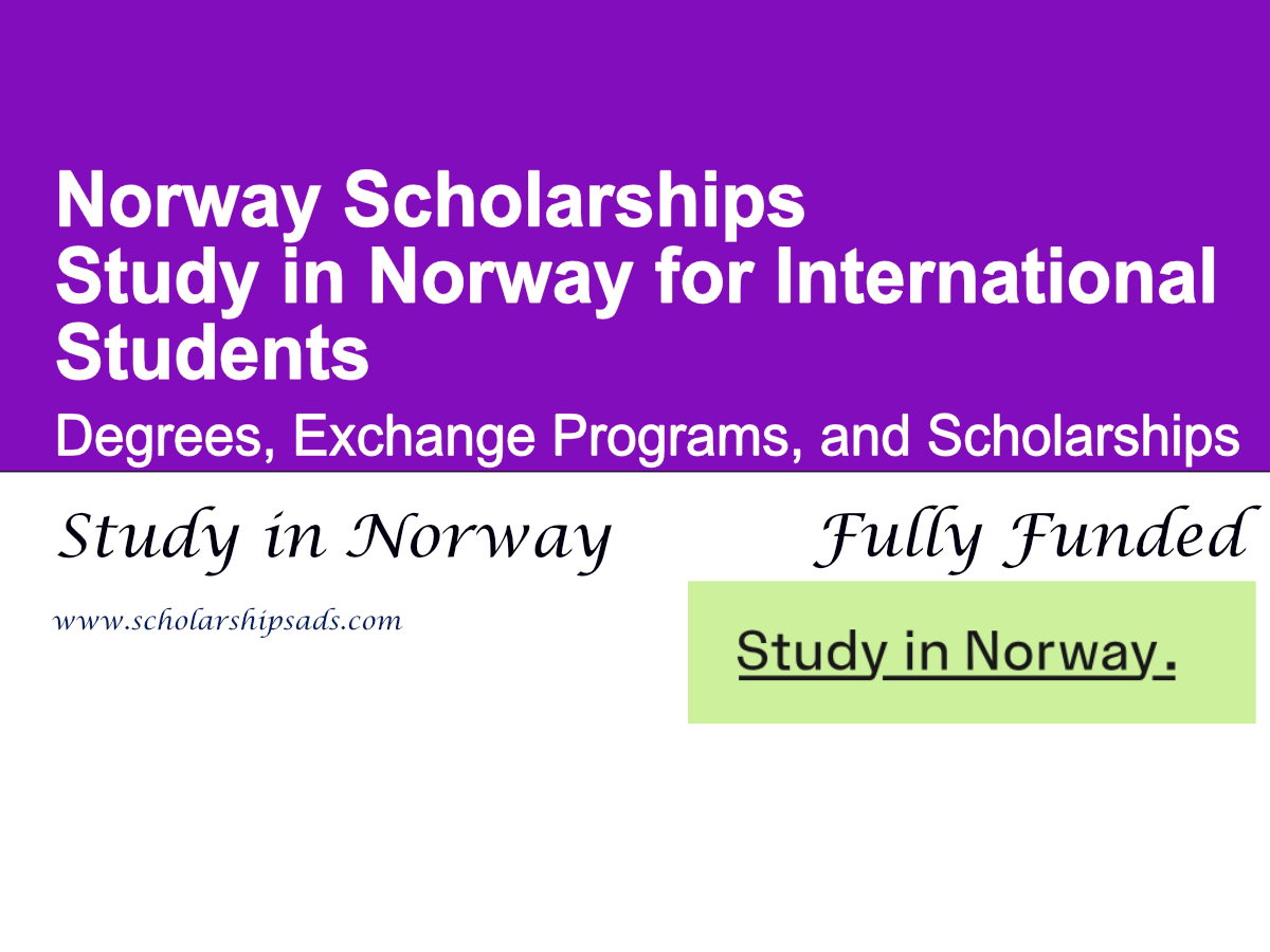 Study in Norway for International Students: Degrees, Exchange Programs, and Scholarships
