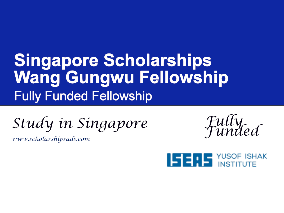 Wang Gungwu Fellowship 2027, Singapore (Fully Funded)
