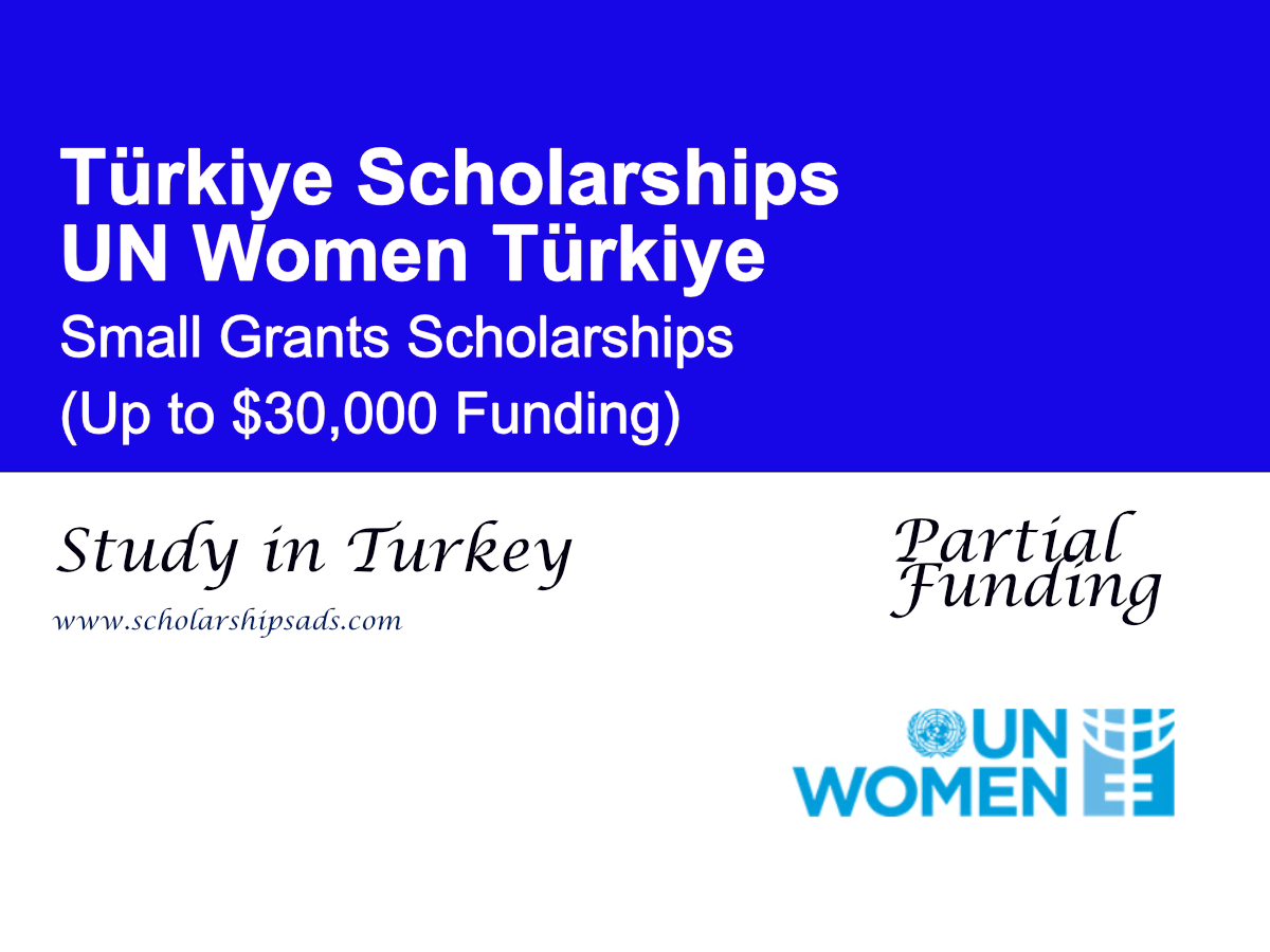 UN Women Türkiye Small Grants Scholarships 2026 | Up to $30,000 Funding for Civil Society Organizations