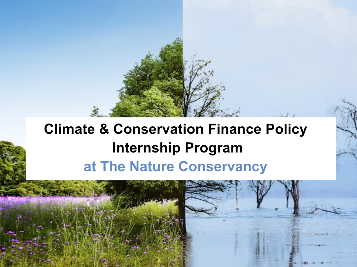 Climate & Conservation Finance Policy Internship Program 2026 at The Nature Conservancy