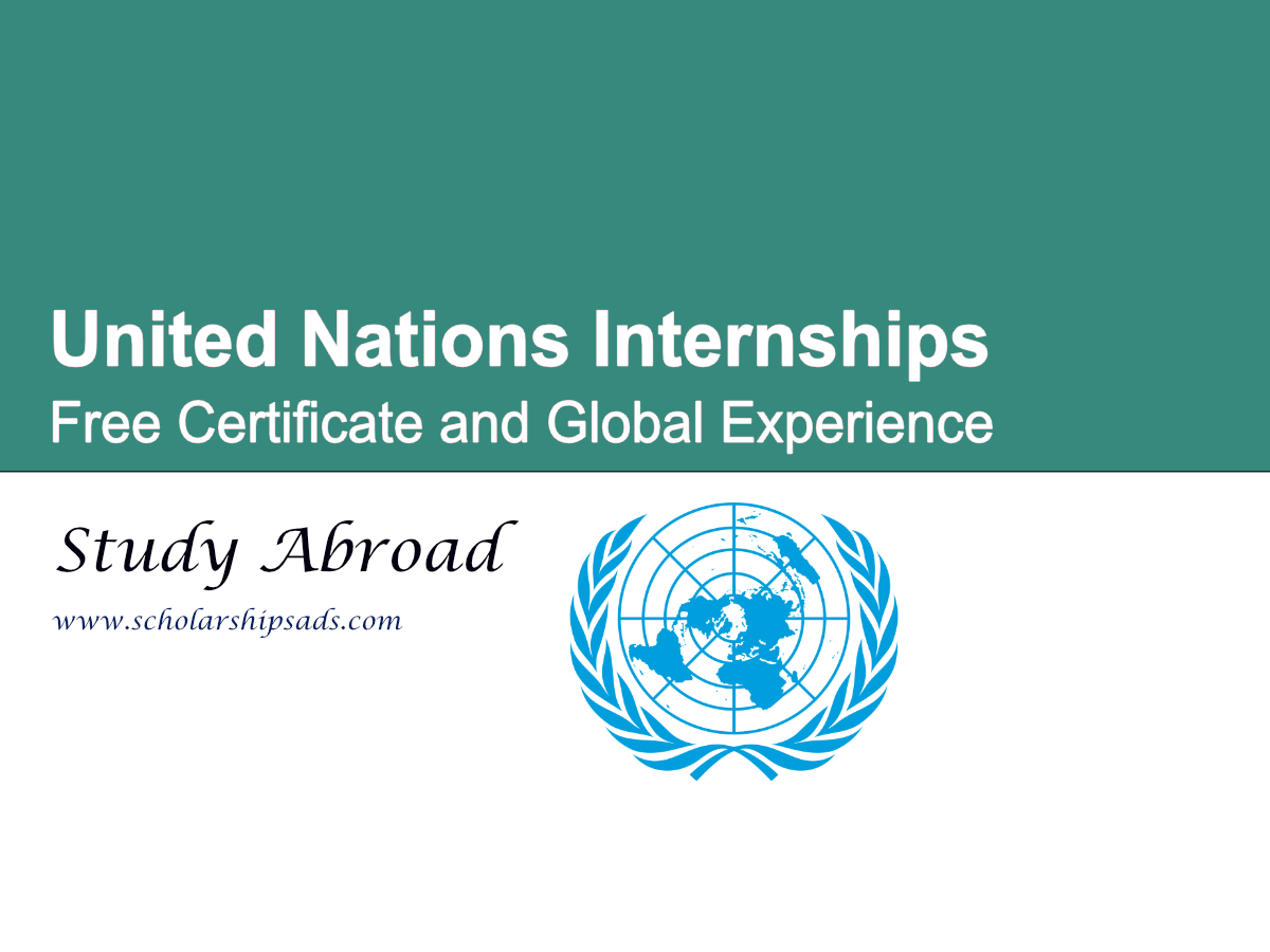 United Nations Internships 2026 | Free Certificate and Global Experience